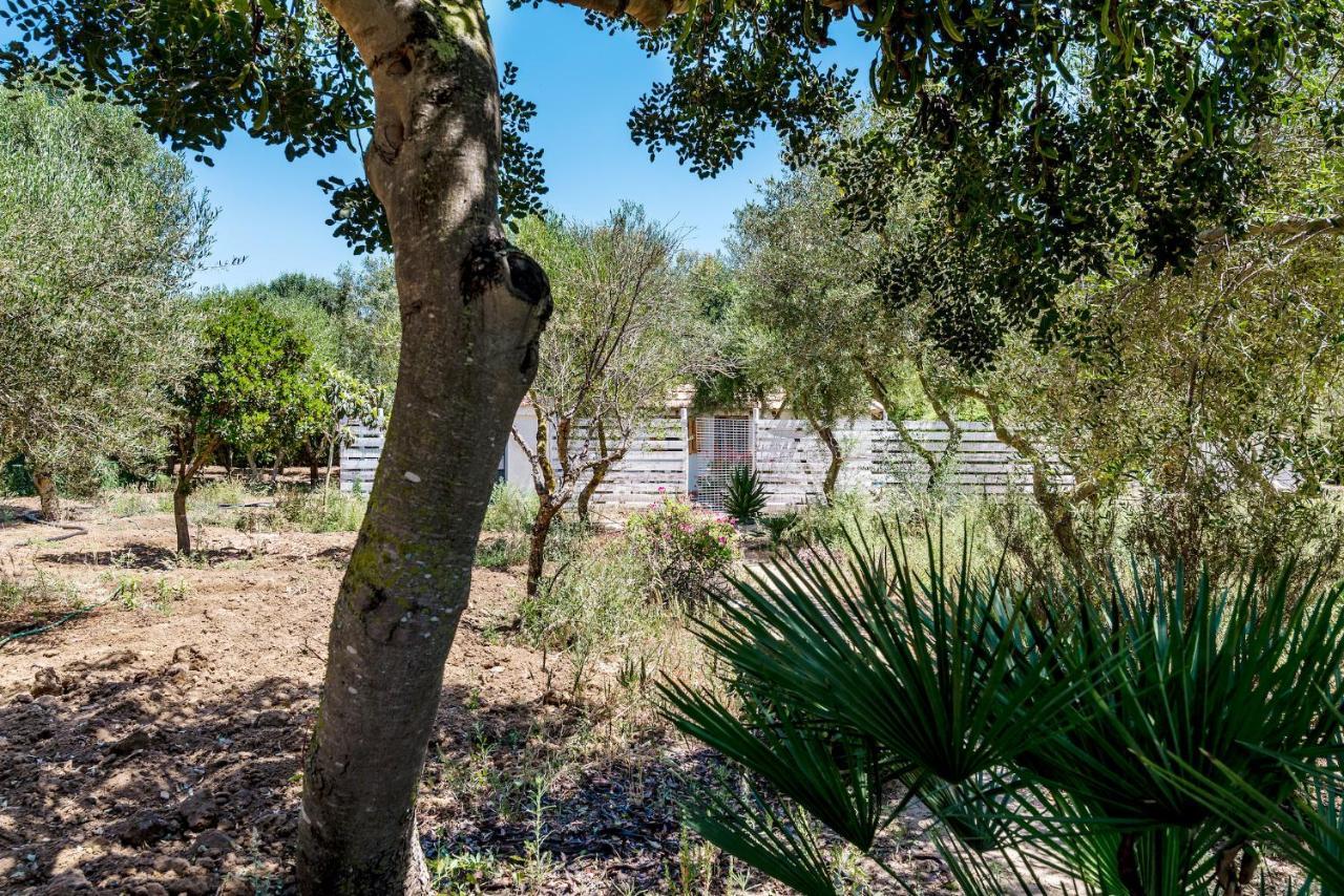 Appartement Casita-estudio El Castano El Palmar (Andalucia)